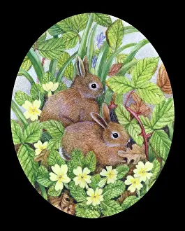 Two Baby Rabbits with Primroses