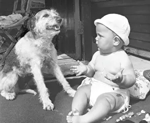 Sunhat: Baby at seaside with dog