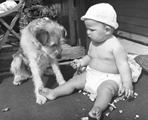 Sunhat: Baby at seaside with dog