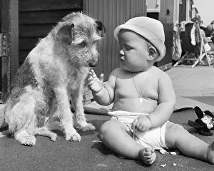 Sunhat: Baby at seaside with dog