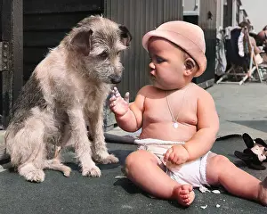 Deckchairs: Baby at seaside with dog