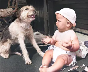 Sunhat: Baby at seaside with dog