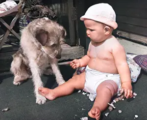 Sunhat: Baby at seaside with dog