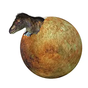Offspring: A baby T-rex dinosaur hatches out of an egg