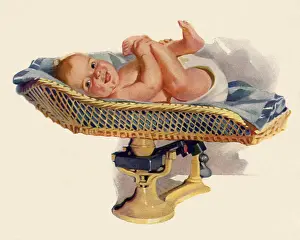 Weighs: Baby Weighs In