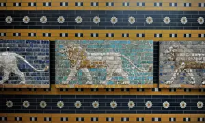 Glazed: Babylon. Monumental Procession Street. Lion's relief