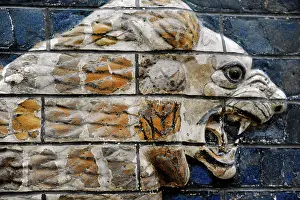 Glazed: Babylon. Monumental Procession Street. Lion's relief