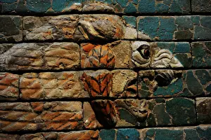 Tooth: Babylon's lion. Lion decorated the Processional Wal (Ishtar