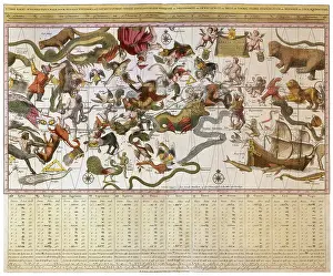 Application: Backer's Star Chart