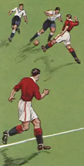 Backs: Backs Covering