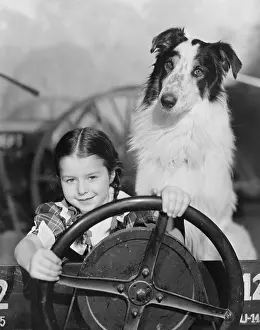 Cautious: BACKSEAT DRIVER