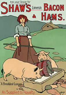Hams: Bacon and Ham Advert
