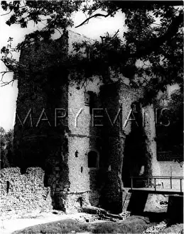 Baconsthorpe: Baconsthorpe Castle, Norfolk