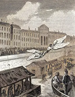 Birdmen: BACQUEVILLE 1742