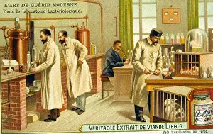 Microbiology: Bacteriological laboratory, France, 1890s. Chromolithograph