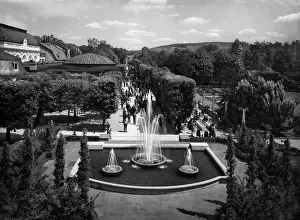 Hedge: Bad Salzuflen, 1937