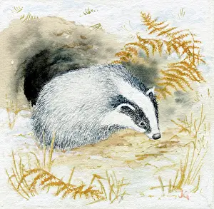 Painitng: A badger outside its sett