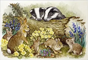 Whitaker: Badgers and Rabbits with Spring Flowers
