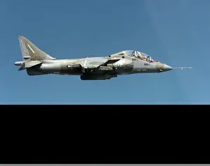 Goshawk: BAE TAV-8B Harrier