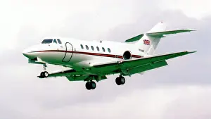 No.32: BAe.125 CC.3 ZE395