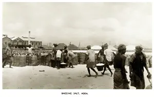 Bagging: Bagging Salt, Aden, Yemen