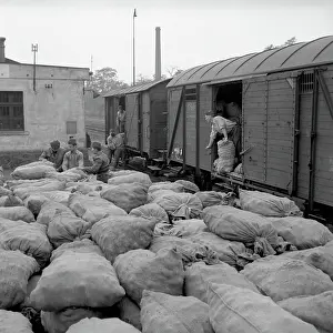 Oldrich: Bags of potatos - unloading