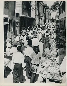 Barbadoes: Bahamas - Bermuda - Jamaica