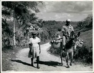 Burdens: Bahamas - Bermuda - Jamaica