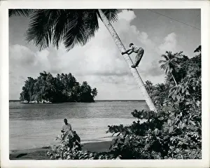 Shin: Bahamas - Bermuda - Jamaica