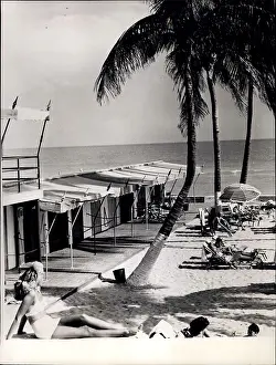 Dorado: Bahamas - Bermuda - Jamaica
