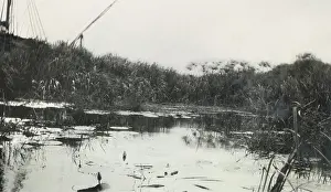 Jebel: On Bahr el Jebel. March 1927