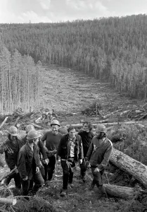 Woodcutters: Baikal-Amur-Mainline construction, 1974