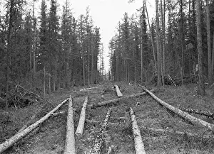 Irkutsk: Baikal-Amur-Mainline construction, 1974