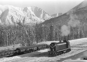 Bryukhanenko: Baikal-Amur Mainline under construction, 1981