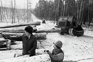 Bryukhanenko: Baikal forestry