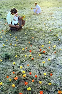 Tulips: Baikonur Cosmodrome territory, 1983