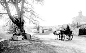 Bainbridge: Bainbridge, 1889