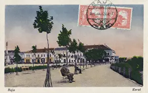 Baja: Baja, Hungary