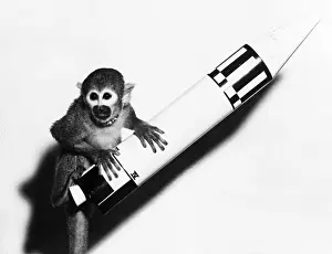 Nineteen: Baker, First Monkey in Space