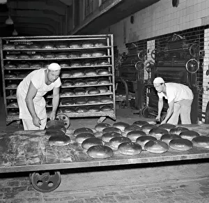 Vybaaºr: Bakery