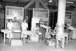 Buns: Bakery - workers - dought