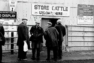 Bakewell: Bakewell, Derbyshire Cattle Market - 2
