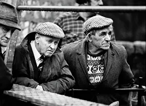 Bakewell: Bakewell, Derbyshire Cattle Market - 5
