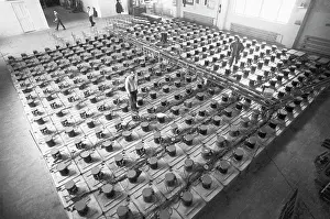 Neutrino: Baksan Neutrino Observatory, 1979