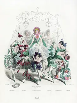 Fleurs: Bal Des Fleurs 1847