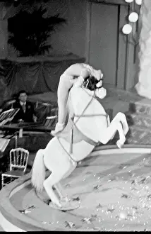 Tabarin: Bal Tabarin Nightclub, Paris