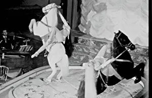 Twirl: Bal Tabarin Nightclub, Paris