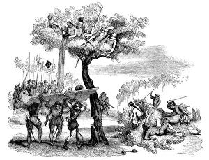 Vasco: Balboa attacked by the Dabaibe Indigenous people