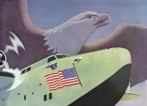 Airliners: Bald Eagle and Large Plane