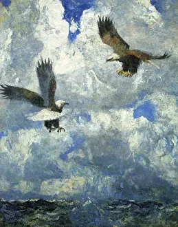 Claws: Bald Eagles